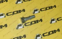 Болт-штуцер трубки суппорта М12 L=52 LG863N 30808113599